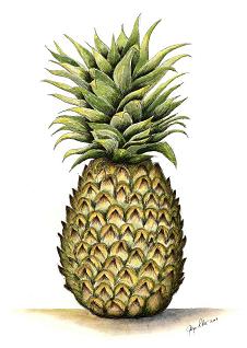 Pineapple- symbol for welcome