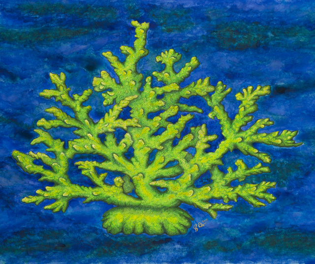 Branch Coral #2