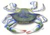 Blue Crab- very popular