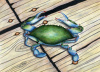 Blue Crab #2