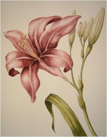 Day Lily 2