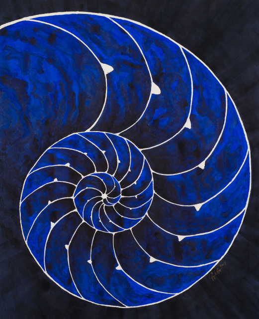 Nautilus Shell in Blue