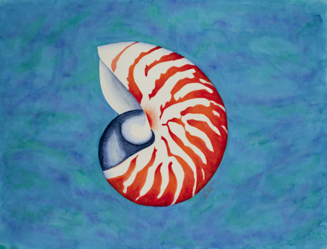 Nautilus