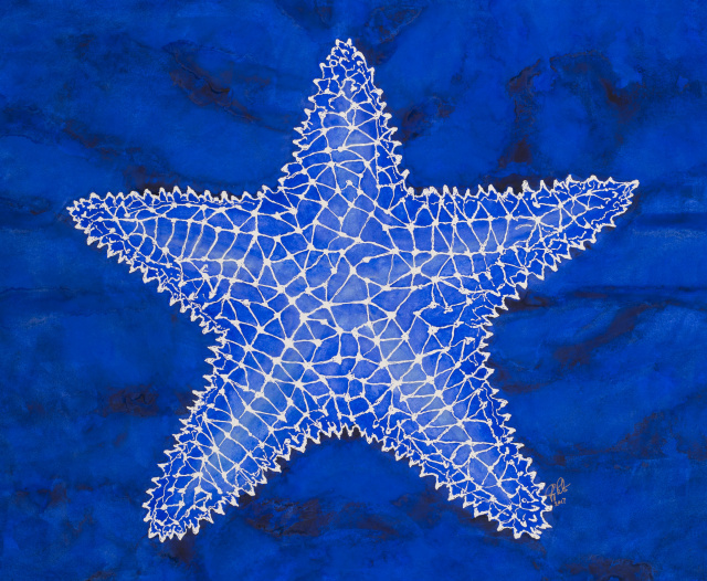 Sea Star Blue