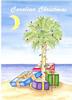 Palmetto Moon Christmas Card