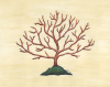 Branch Coral