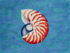 Nautilus