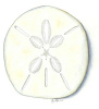 Sand Dollar